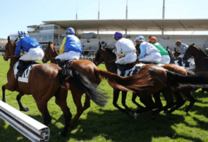 Understanding Parivrai, Pari Vrai, Parivrai VIP, Parivrai Couplé Gagnant, and Parivrai Turf